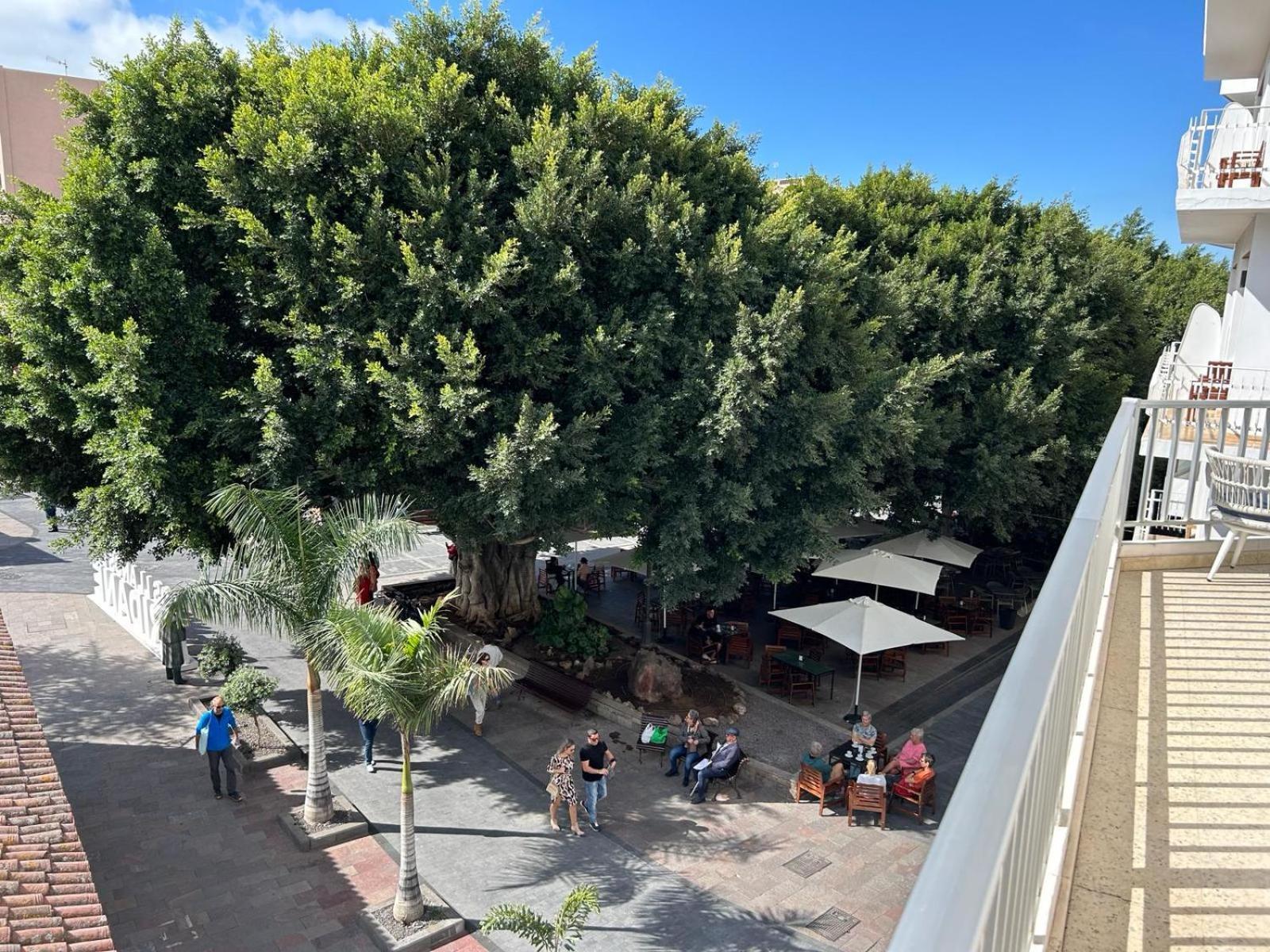 דירות לוס יאנוס דה אריאדנה Vista Plaza - Exceptional Location מראה חיצוני תמונה