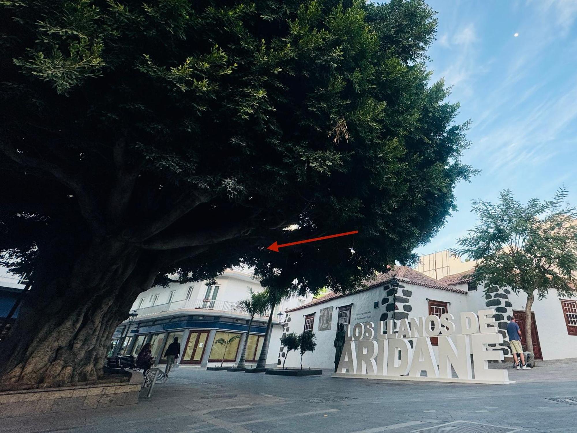 דירות לוס יאנוס דה אריאדנה Vista Plaza - Exceptional Location מראה חיצוני תמונה